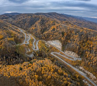 Серпантин через осень