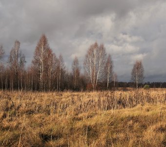 осеннее настроение