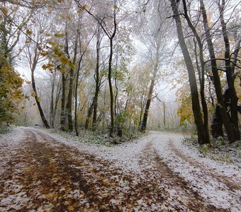 Первый снег