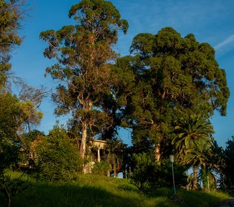 Дача Сталина