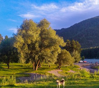 Прогулка у реки летним вечером