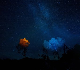 Млечный Путь над Катунью