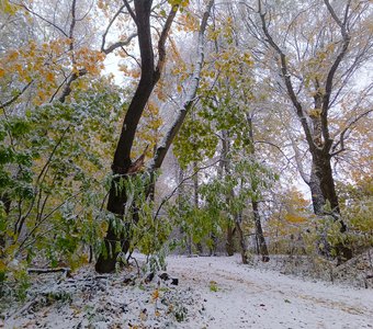 Первый снег