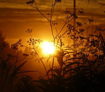 В лучах солнца