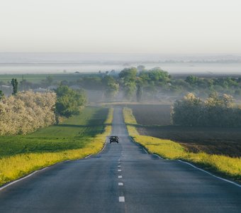 Утренняя дорога