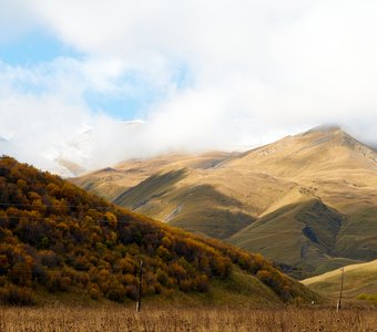 Тепло осени