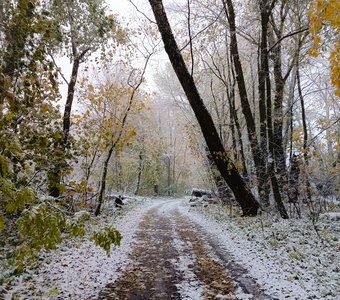 Первый снег
