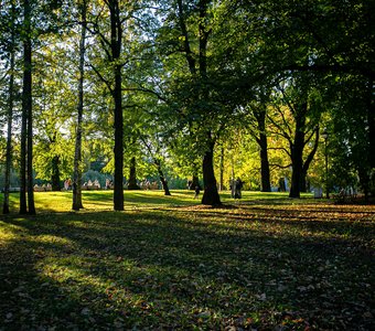 Свет в Таврическом