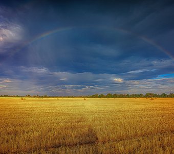 Перед Грозой