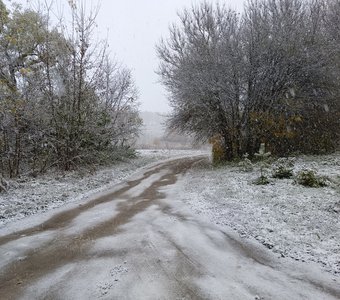 Первый снег
