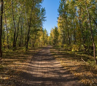 Ранняя осень. Озера реки Самары