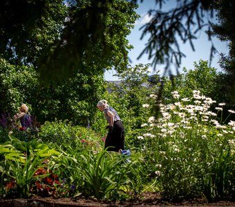 Монастырь в Вологде. Уход за цветами