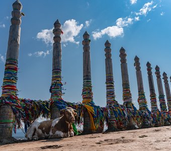 Охранник столбов сэрге