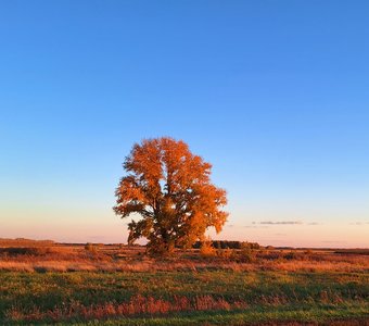 Осенний пейзаж