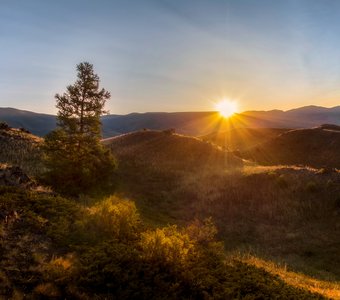 Летнее утро в окрестностях п. Курай