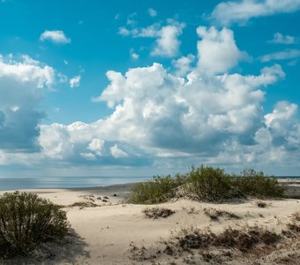 Пушистые облака