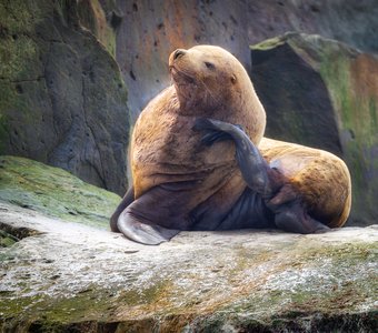 Я же еще та красотка!