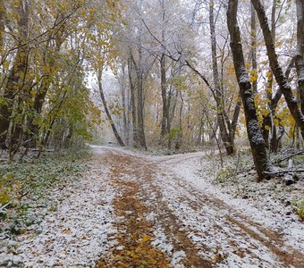 Первый снег