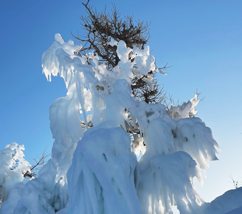 Дух Байкала