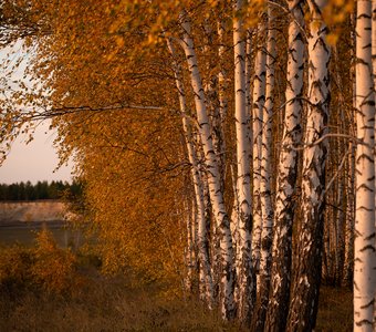 Символ России