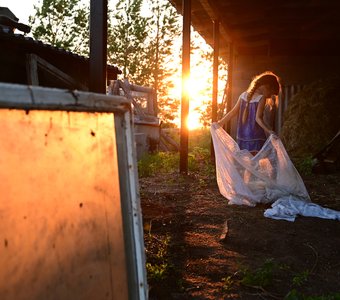 Лето Полины