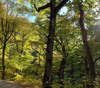 Осень в Железноводске