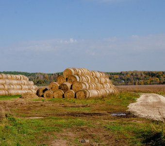 Солнечный день перед наступлением холодов