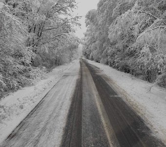 Дорога через лобовое стекло