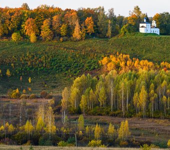 Все краски осени