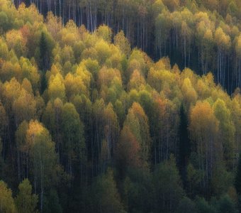 Осенние акварели Среднего Урала