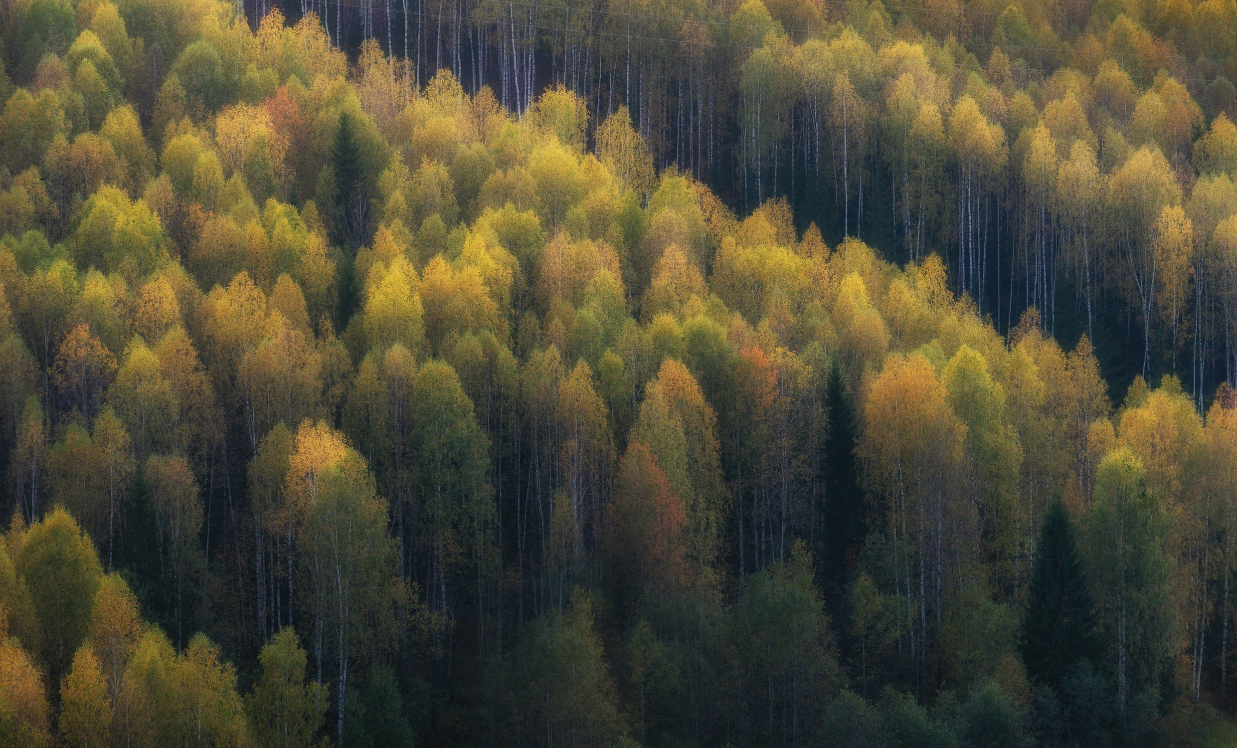 Осенние акварели Среднего Урала