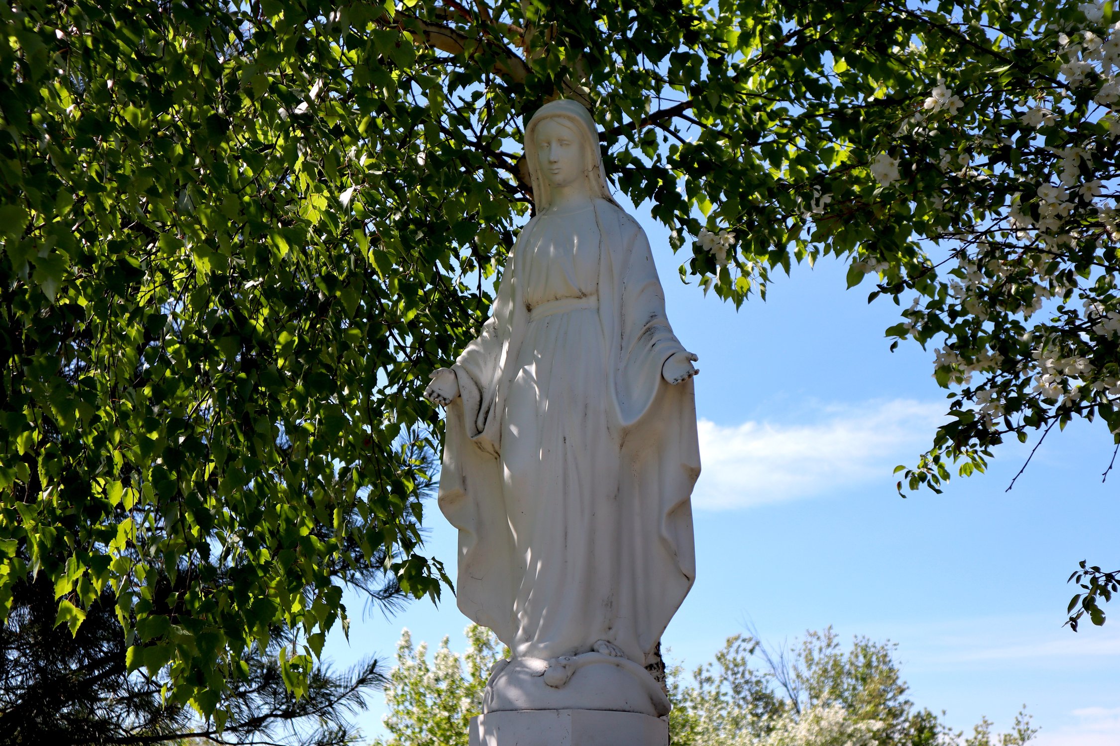 Дева Мария Сибирская