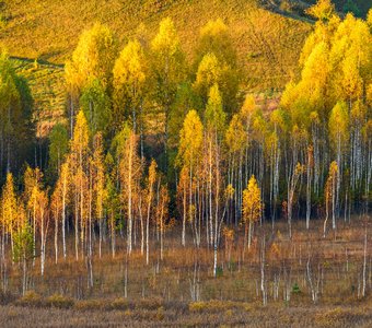 Осенний пейзаж