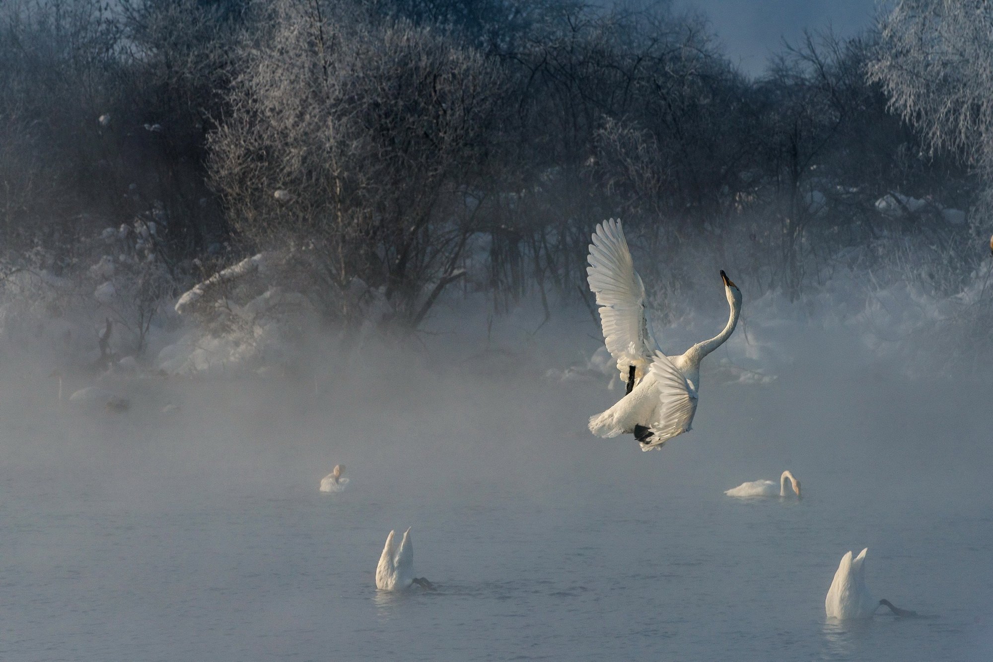 -48 по Цельсию