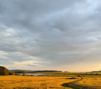Поляна под ярким солнцем