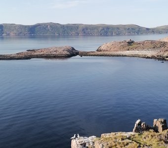 Влюблённые