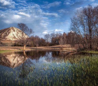Весенний мотив.