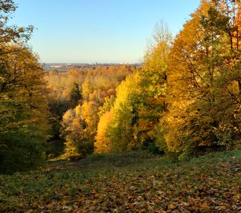 Осень в парке Дудергоф