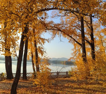 Осенние краски природы