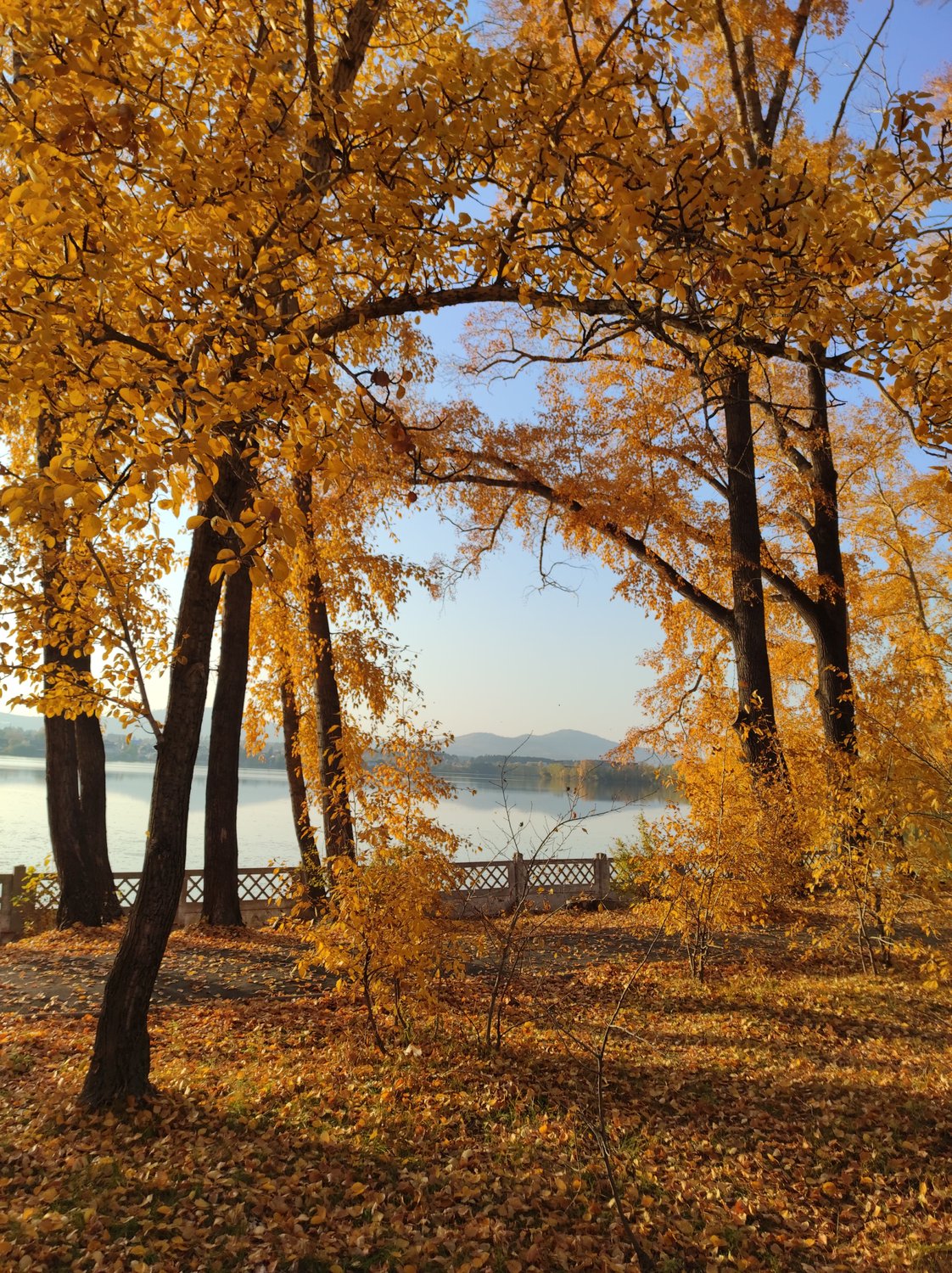 Осенние краски природы