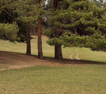 Дороги России.