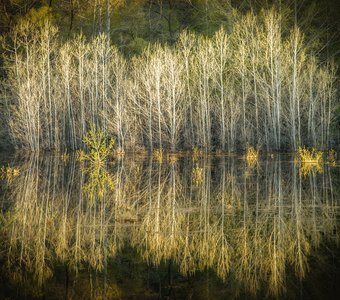 Весеннее половодье.