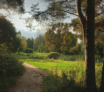 Прогулка в парке