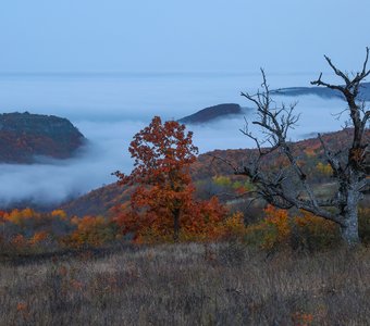 Осень в горах..