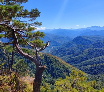 Невероятная осенняя природа Адыгеи