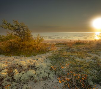 Белое море. Сентябрь