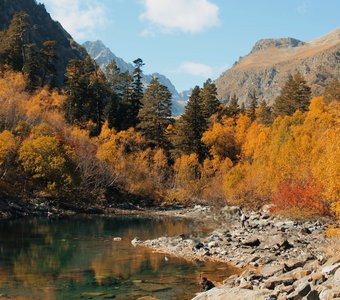 Краски осени