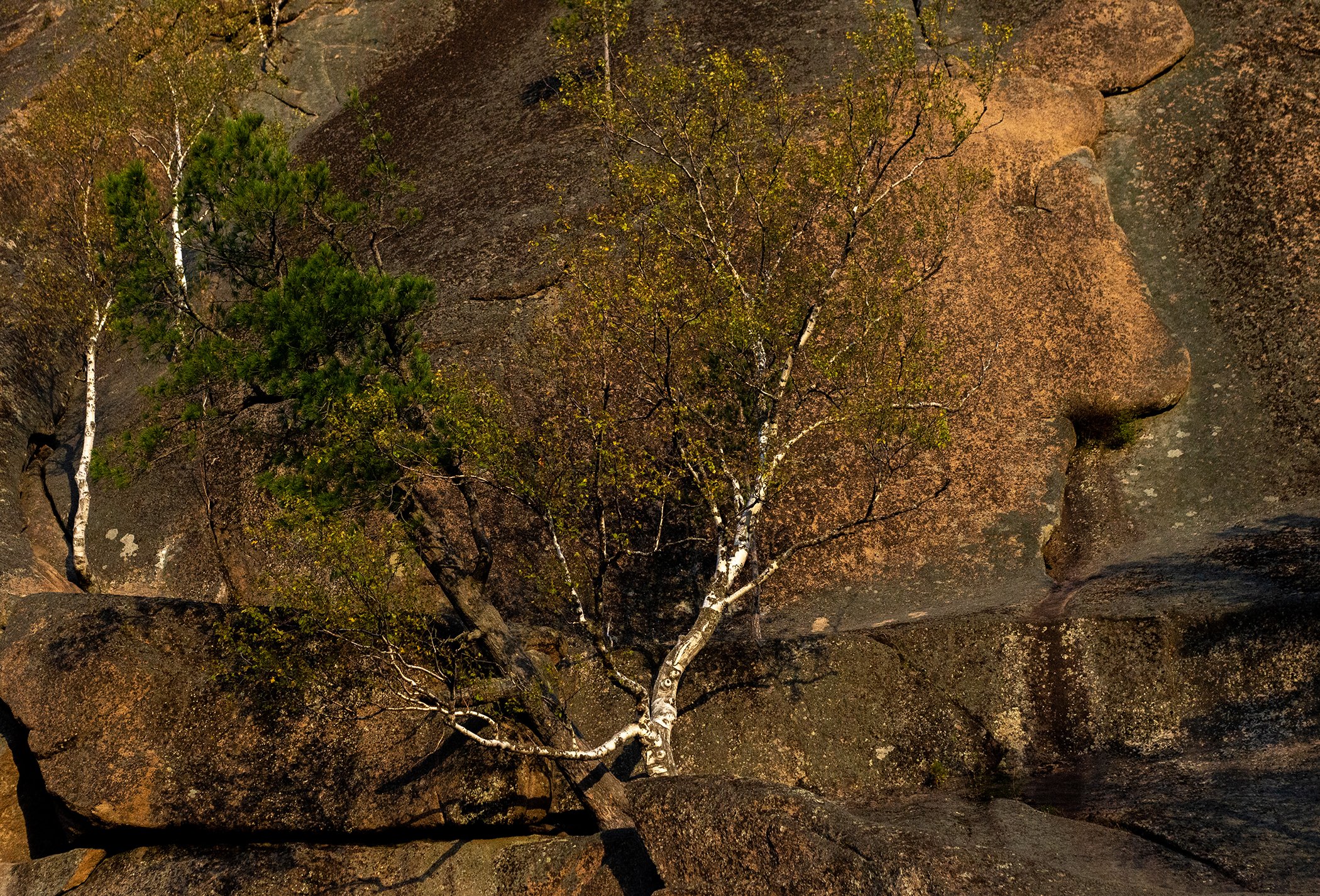 Закат у Первого столба
