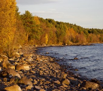 Берег Онежского озера