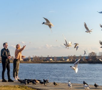 На вечерней прогулке